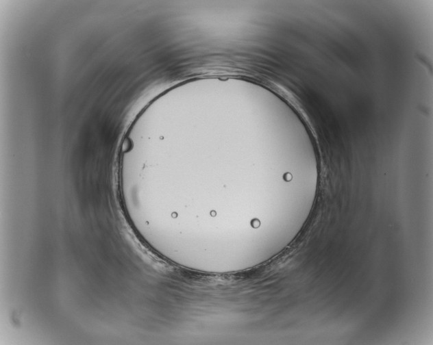 X0000099511195200806051139