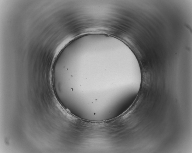 X0000099511196200806051139