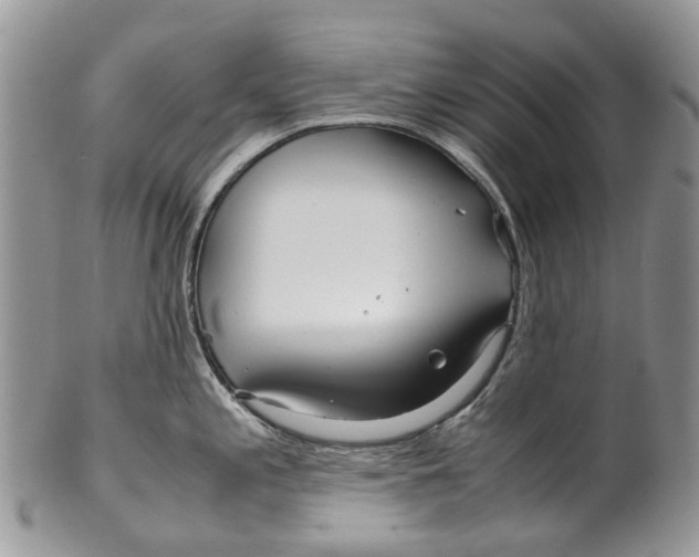 X0000099511197200806051139