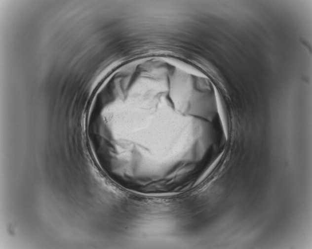 X0000099511198200806051139