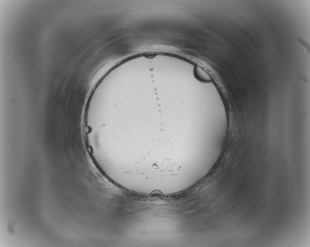 X0000099511199200806051139