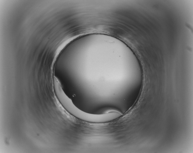 X0000099511200200806051139