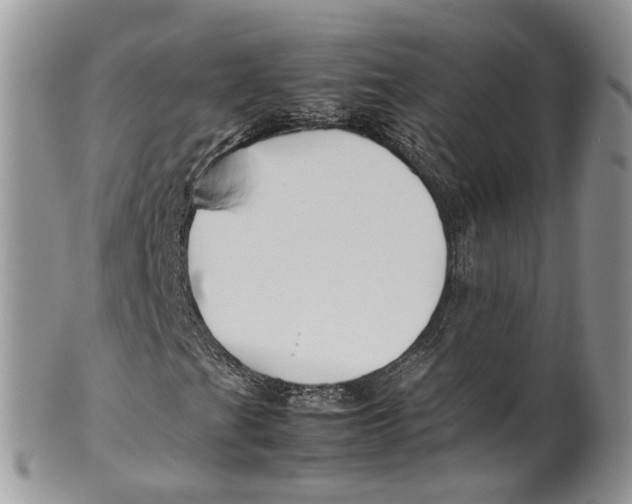 X0000099511201200806051139