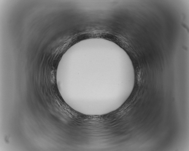 X0000099511204200806051139