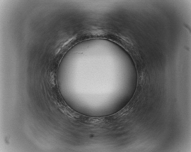 X0000099511205200806051139