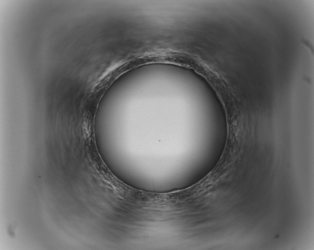 X0000099511206200806051139