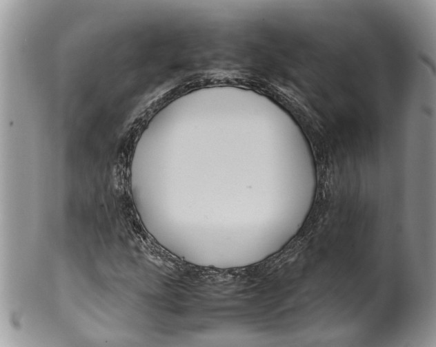 X0000099511207200806051139