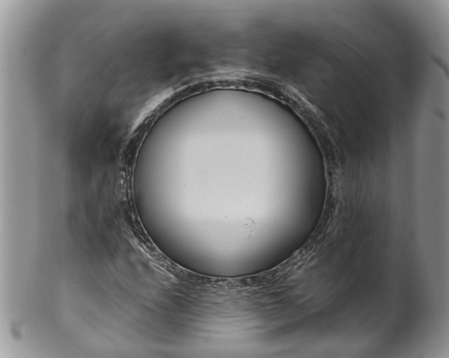 X0000099511208200806051139