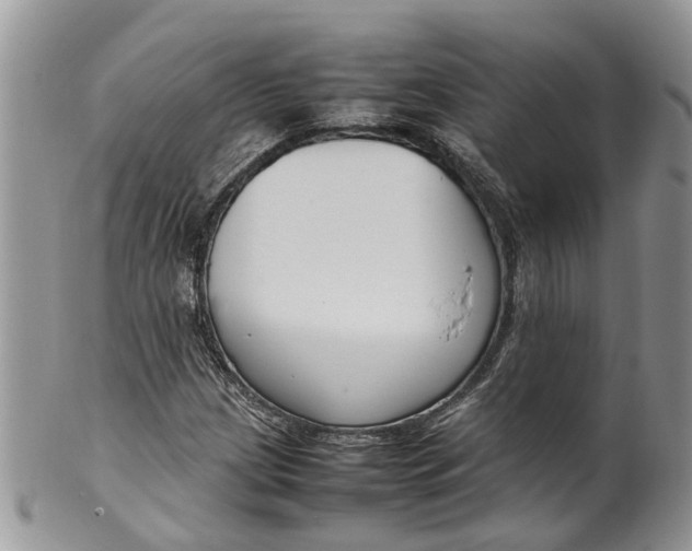 X0000099511209200806051139