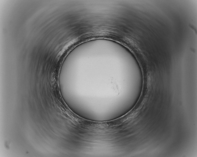 X0000099511210200806051139