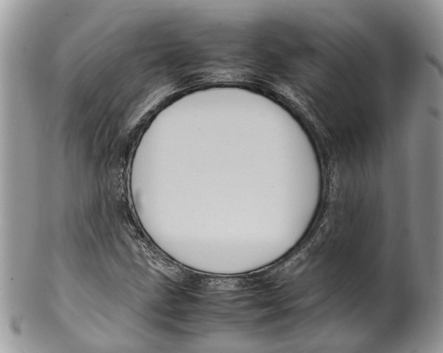 X0000099511211200806051139