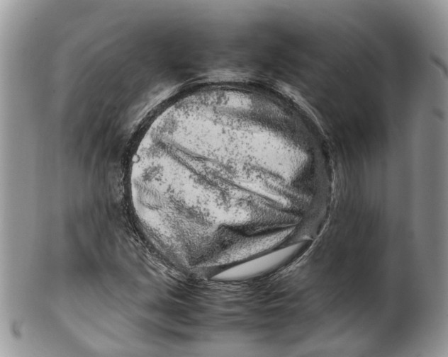 X0000099511213200806051139