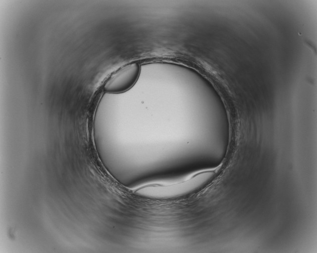 X0000099511214200806051139