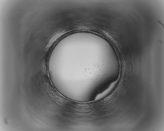 X0000099511215200806051139