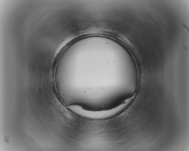 X0000099511216200806051139