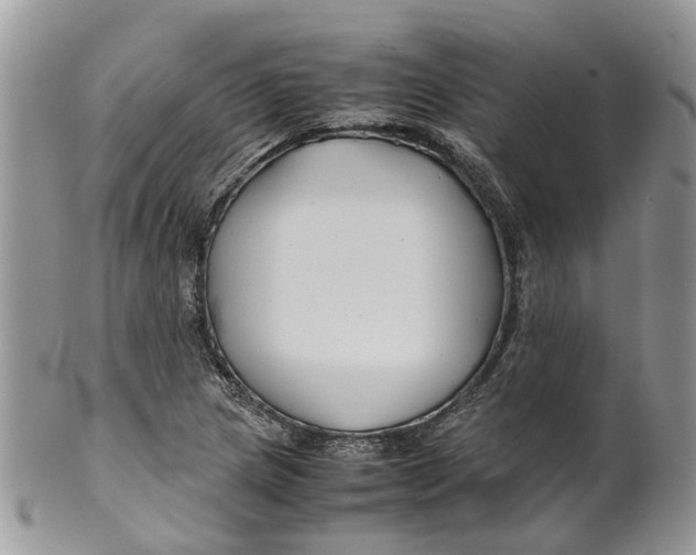 X0000099511217200806051139