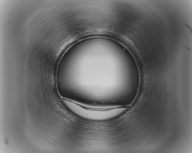 X0000099511218200806051139