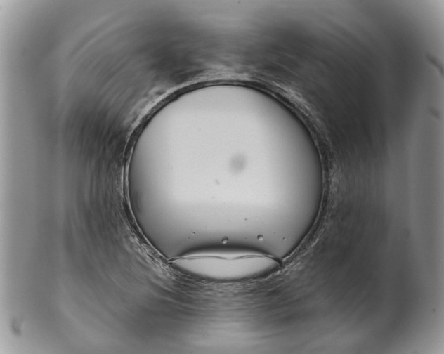 X0000099511220200806051139