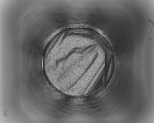 X0000099511221200806051139