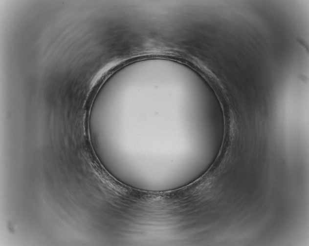 X0000099511222200806051139