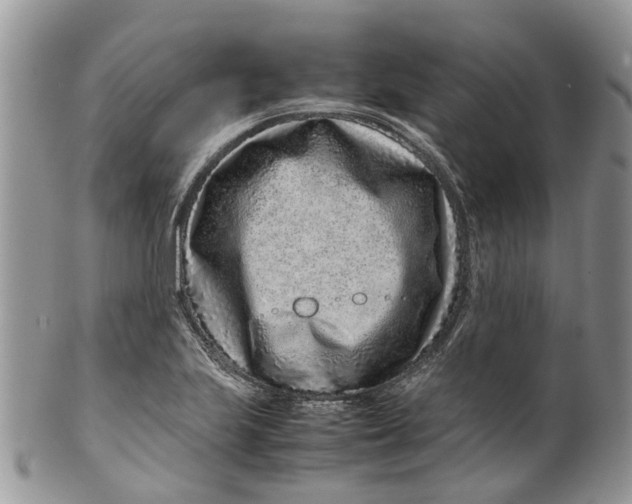 X0000099511223200806051139