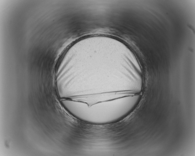 X0000099511224200806051139