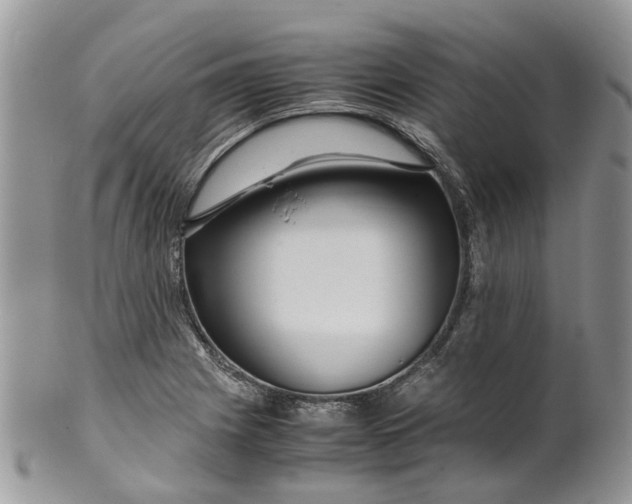 X0000099511225200806051139