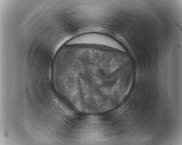 X0000099511226200806051139