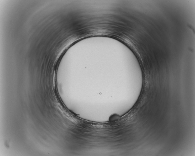 X0000099511227200806051139