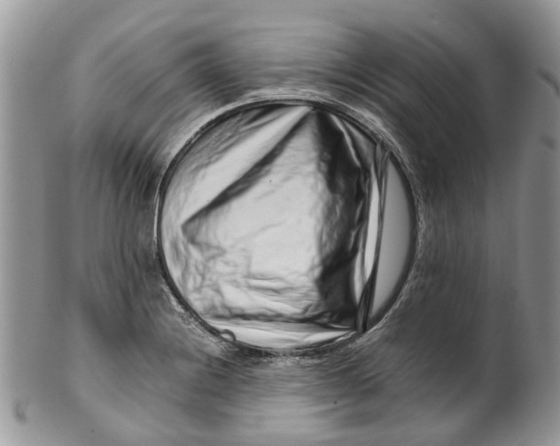 X0000099511228200806051139