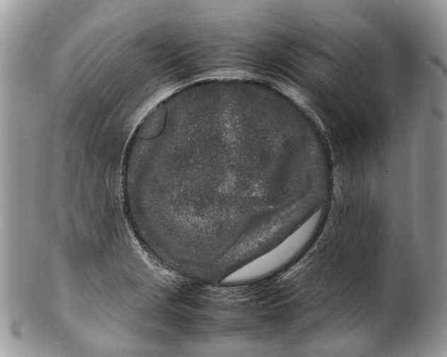 X0000099511229200806051139