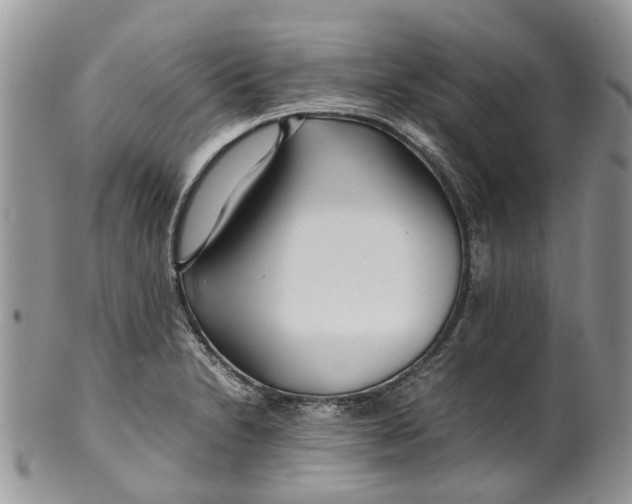 X0000099511230200806051139