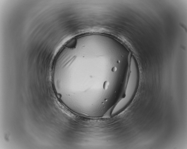 X0000099511232200806051139