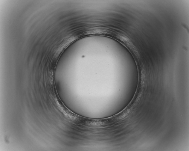 X0000099511233200806051139