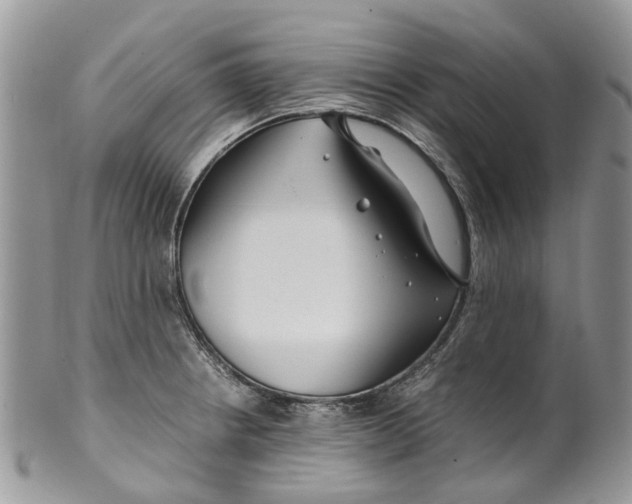 X0000099511234200806051139