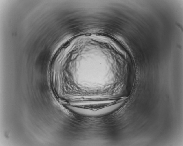 X0000099511235200806051139