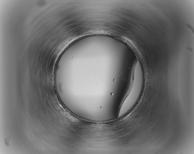 X0000099511236200806051139