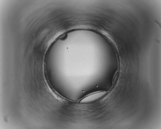 X0000099511237200806051139