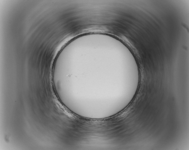 X0000099511240200806051139