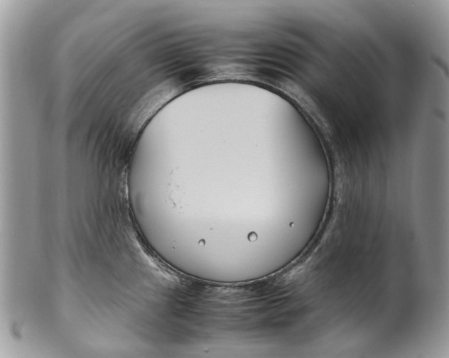 X0000099511241200806051139