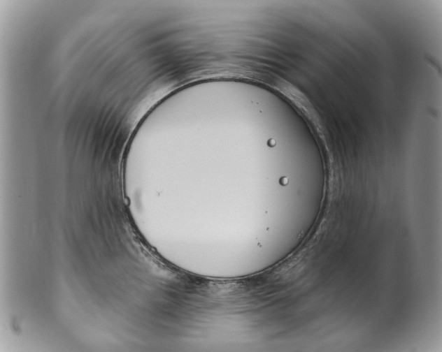 X0000099511242200806051139