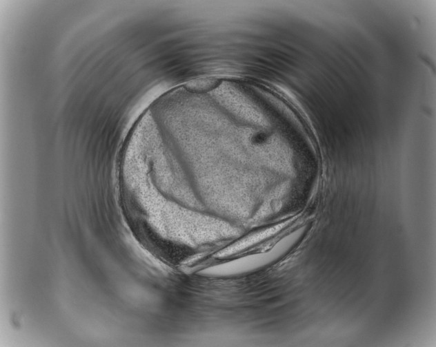 X0000099511243200806051139