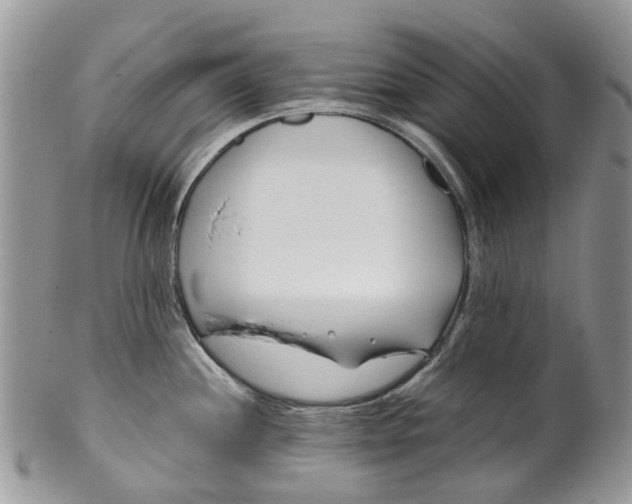 X0000099511244200806051139