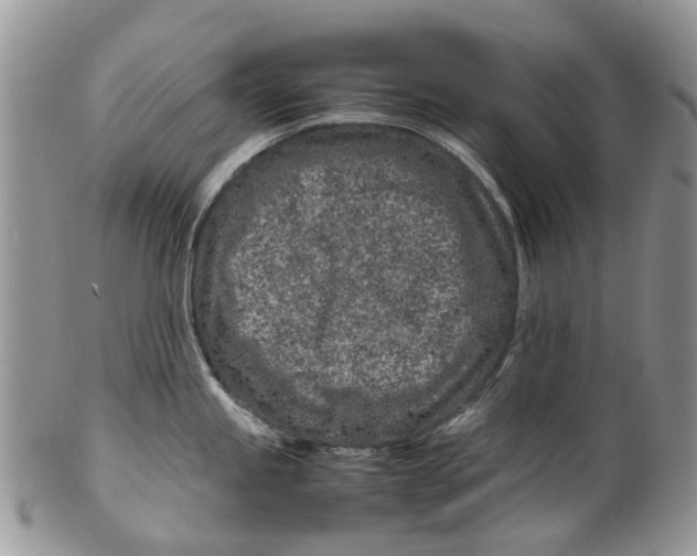 X0000099511245200806051139