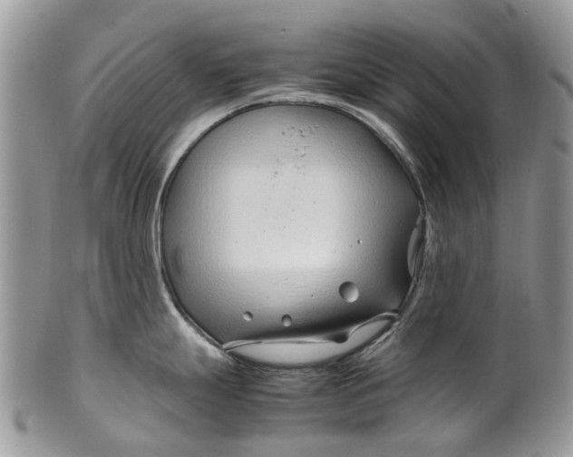 X0000099511247200806051139