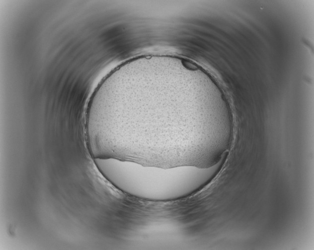 X0000099511248200806051139