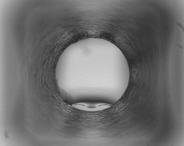 X0000099511249200806051139