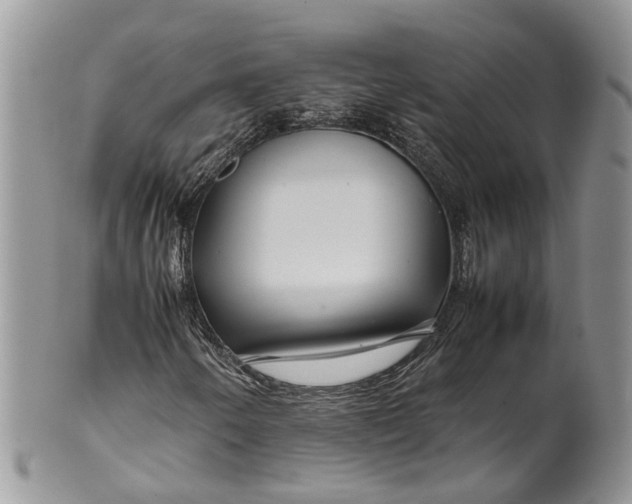 X0000099511250200806051139