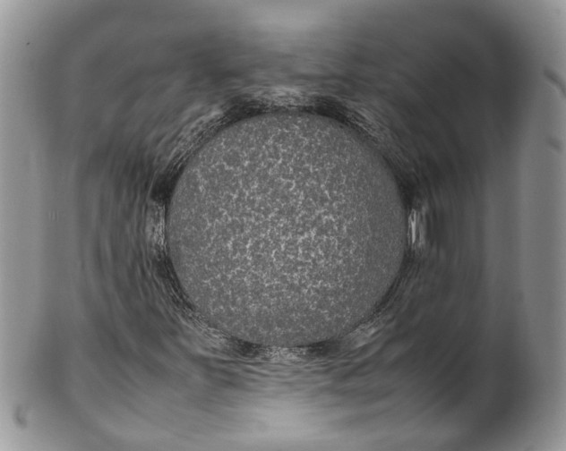 X0000099511251200806051139