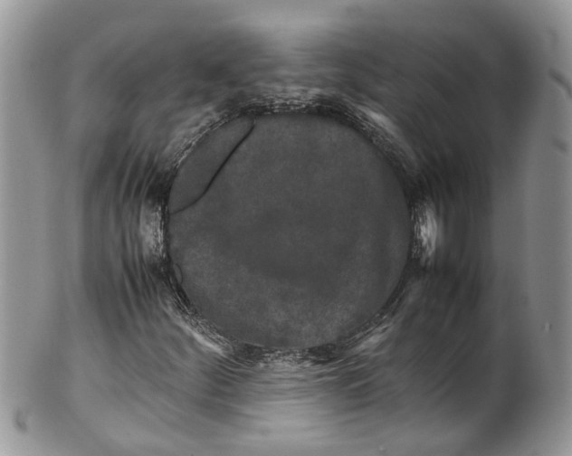 X0000099511252200806051139